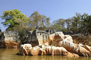 Limestone formation on the Manambolo River, Tsingy de Bemaraha National Park, Madagascar Limestone formation on the Manambolo River, Tsingy de Bemaraha National Park, Madagascar