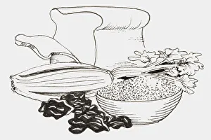Line drawing of foods that provide fiber including bread, corn, cereal Line drawing of foods that provide fiber including bread, corn, cereal