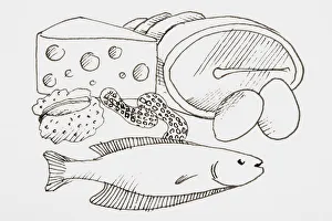 Line drawing of foods that provide protein, including meat and fish Line drawing of foods that provide protein, including meat and fish