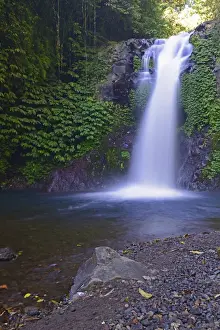 Bali Waterfall Prints: Little Gitgit Waterfall, Central Bali, Bali, Indonesia