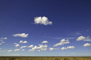 Lofty cumulus clouds, Nullarbor Plain, Australia Lofty cumulus clouds, Nullarbor Plain, Australia