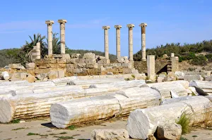 Lying and standing ancient columns with ionic capital, Ruins of the Roman City Leptis Lying and standing ancient columns with ionic capital, Ruins of the Roman City Leptis