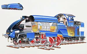 Driver Collection: Mallard Steam Engine, expanded cross-section