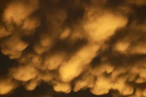 Mammary or breast clouds -Cumulonimbus mamma- of a disintegrating thunderstorm in the evening light Mammary or breast clouds -Cumulonimbus mamma- of a disintegrating thunderstorm in the evening light