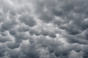 Mammatus clouds, cellular pattern of pouches hanging underneath the base of a thunderstorm cloud Mammatus clouds, cellular pattern of pouches hanging underneath the base of a thunderstorm cloud