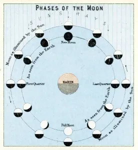 Star Chart Prints: Phases of the Moon Vintage Engraving Print, 1891
