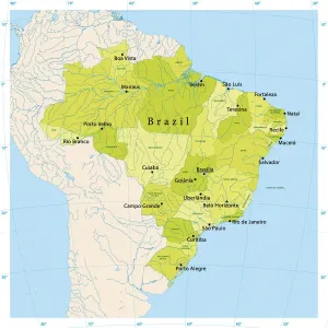 Ultra Detailed Brazil Vector Map Print for Large-Scale Usage