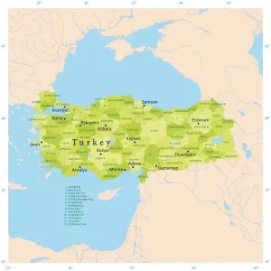 Map Illustration Prints: Highly Detailed Turkey Vector Map Print for CMYK