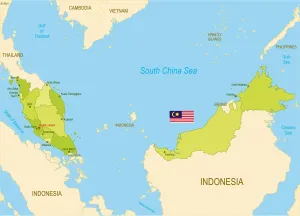 Malaysia Reference Maps Print