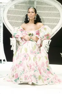 Famous Female Singers Prints: Cher Performing