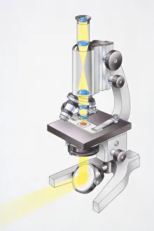 Microscope, light passing through lenses and focusing on glass slide Microscope, light passing through lenses and focusing on glass slide