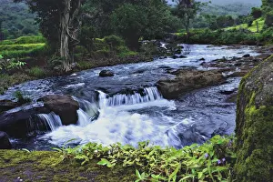 Stream Flowing Water Images Prints: Monsoon Magic