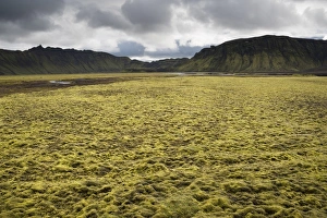 Moss-covered mountains, landscape near Maelifell, Highland, Iceland, Europe Moss-covered mountains, landscape near Maelifell, Highland, Iceland, Europe