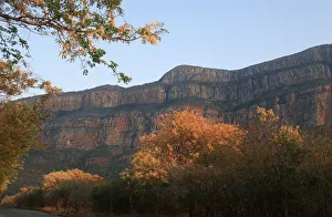 Mountain Landscape Scene - Low Angle View Mountain Landscape Scene - Low Angle View
