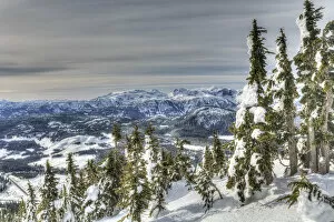 Images Dated 16th February 2008: Mountainous landscape, Mt, Washington Ski Resort bordering Strathcona Provincial Park