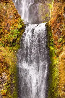 Multnomah Falls in Autumn, Columbia River Gorge, Oregon, USA Multnomah Falls in Autumn, Columbia River Gorge, Oregon, USA