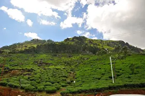 South India Tourism Prints: Munnar