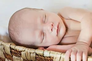 Newborn baby, 3 weeks, sleeping in a basket Newborn baby, 3 weeks, sleeping in a basket