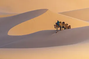 Nomad is riding camel across sand dune in Gobi desert Nomad is riding camel across sand dune in Gobi desert