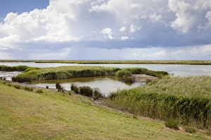 Northern Salzensee, Westermarkelsdorf, Fehmarn island, Schleswig-Holstein, Germany Northern Salzensee, Westermarkelsdorf, Fehmarn island, Schleswig-Holstein, Germany
