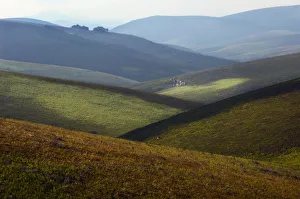 Nyika Plateau, Nyika National Park, Malawi Nyika Plateau, Nyika National Park, Malawi