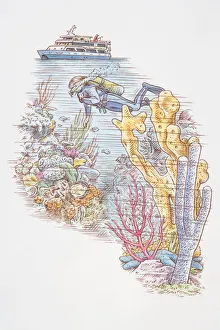 Ocean diver in colourful underwater landscape, passenger boat passing by overhead Ocean diver in colourful underwater landscape, passenger boat passing by overhead