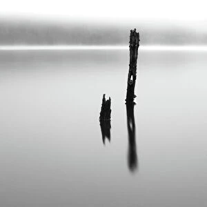 Simplicity in Focus: A Minimal Art Photography Collection: Old posts standing in misty loch Scotland