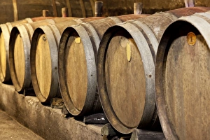 Old wine barrels in the cellar of a winery Old wine barrels in the cellar of a winery