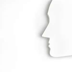 Origami facial outline
