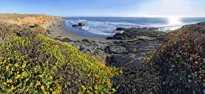 Pacific beach overgrown with mosses and lichen near Cambria, California, United States Pacific beach overgrown with mosses and lichen near Cambria, California, United States