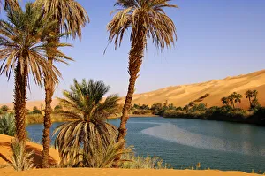 Palm trees on the shore of the Um el Maa lake in the Ubari Sand Sea, Sahara, Libya Palm trees on the shore of the Um el Maa lake in the Ubari Sand Sea, Sahara, Libya