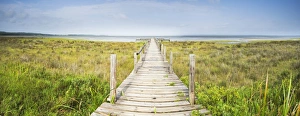 Panoramic view of wooden jetty leading towards lake, Catalina Bay Panoramic view of wooden jetty leading towards lake, Catalina Bay