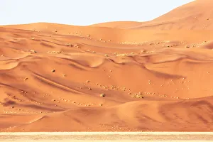 Patterns and variable colors in dune, Sossusvlei, Namib-Naukluft National Park, Namib Desert, Namibia Patterns and variable colors in dune, Sossusvlei, Namib-Naukluft National Park, Namib Desert, Namibia