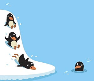 Three penguins sliding down snowy slope into water, one penguin wading in water Three penguins sliding down snowy slope into water, one penguin wading in water