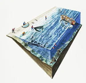 People fishing off shoreline and in sea, using cockle rake, net trap, rock traps, net skimming People fishing off shoreline and in sea, using cockle rake, net trap, rock traps, net skimming