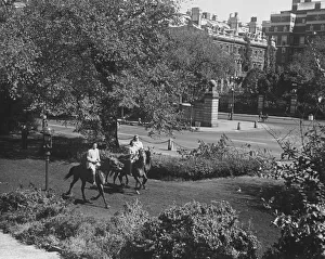 People riding horses in park (B&W), elevated view People riding horses in park (B&W), elevated view