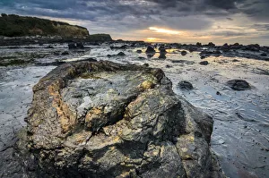Petrified tree trunks, Petrified podocarp forest, evening mood at the sea, rocky coast, Curio Bay, The Catlins Petrified tree trunks, Petrified podocarp forest, evening mood at the sea, rocky coast, Curio Bay, The Catlins