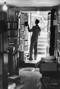 Vintage Book Collection Prints: Avid Reader