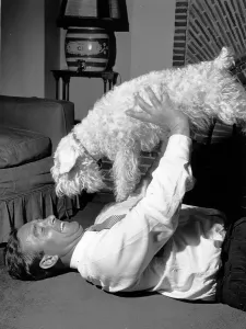 Black And White Dog Pictures Prints: Compton And His Dog