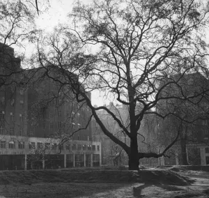 Picture Post Archive Prints: Berkeley Square