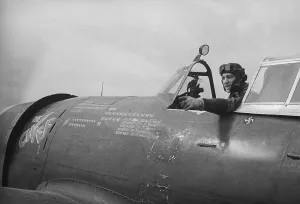 Normandy Invasion Prints: Thunderbolt And Pilot