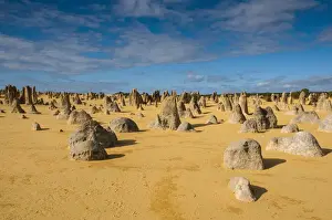Desert Landscape Photography Tour Prints: The Pinnacles limestone formations, Nambung National Park, Western Australia