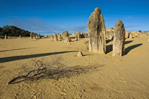 Desert Landscape Photography AUSTRALIA Prints: The Pinnacles limestone formations, Nambung National Park, Western Australia