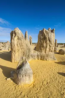 Australian Desert Landscape Prints: The Pinnacles limestone formations, Nambung National Park, Western Australia