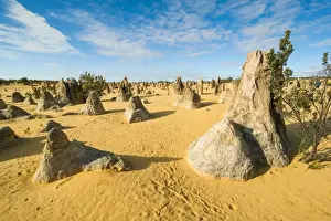 Australian Desert Scenery Prints: The Pinnacles limestone formations, Nambung National Park, Western Australia