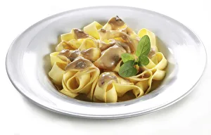 Plate of fettuccine ai funghi, pasta with mushrooms Plate of fettuccine ai funghi, pasta with mushrooms