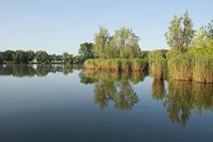 Pond landscape, Herbslebener Teiche nature reserve, Herbsleben, Thuringia, Germany Pond landscape, Herbslebener Teiche nature reserve, Herbsleben, Thuringia, Germany