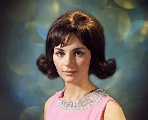 Portrait of brunette woman with flip hairstyle Portrait of brunette woman with flip hairstyle