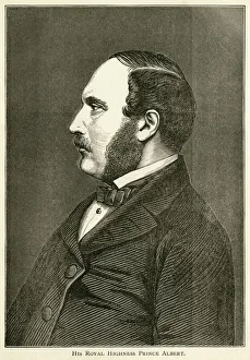 Prince Albert, consort of Queen Victoria Prince Albert, consort of Queen Victoria