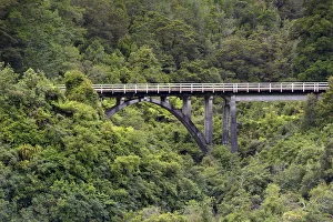 Railway bridge in the jungle, Charleston, West Coast Region, New Zealand Railway bridge in the jungle, Charleston, West Coast Region, New Zealand